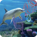 Dolphin CoralReef Trial
