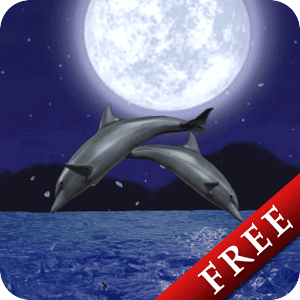 Dolphin Night Trial