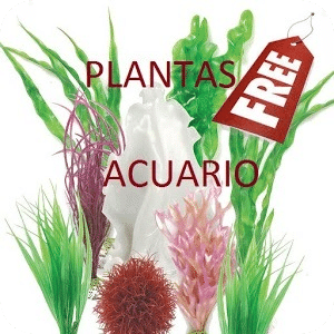 Plantas Acuario Free