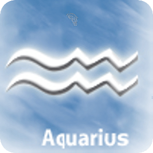 Aquarius Bsness Compatibility