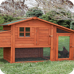 Chicken Coop Building Fr...