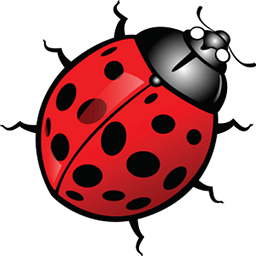 Lucky ladybug