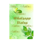 status whatsap