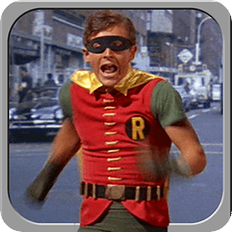 Robin Boy Wonder