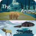 The Animals Sound Lite