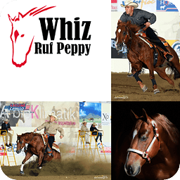 Whiz Ruf Peppy