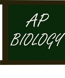 AP Biology Study App