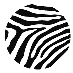 Zebra - Beta