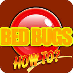 Bed Bugs How To