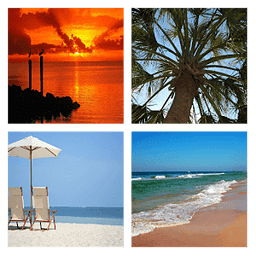 Beautiful Florida Landscapes