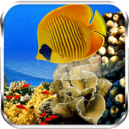 Coral Reefs HD Live Wall...