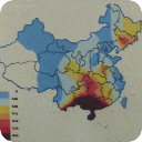 百家姓各姓氏分布