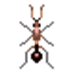Simulation Ameisen