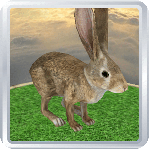 Virtual Pet 3D - Bunny