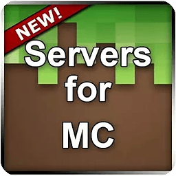 Servers for MC