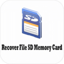 Recover File SD Memory C...