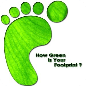Green Footprint Calculator