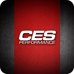 CES Performance
