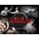 MMA Programme 1.01