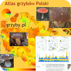 gdzie na grzyby atlas grzybów