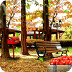 Autumn Leaves 3D Free LWP