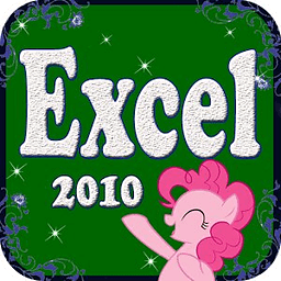MS Excel 2010 Advanced