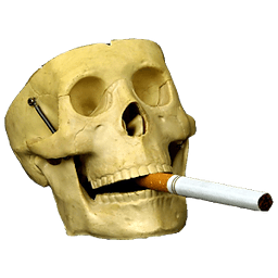 Smoking Kills Widget