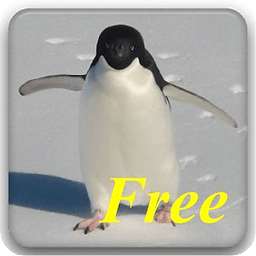 Full of Penguins Free