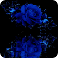 Blue Rain Rose Live Wallpaper 2