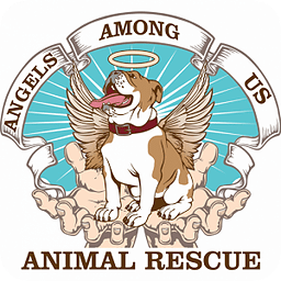 Angels Among Us Animal R...