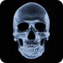 Skull 3D Live Wallpaper