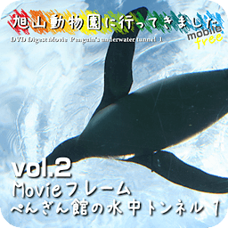 动物影片[企鹅] tusk.jp