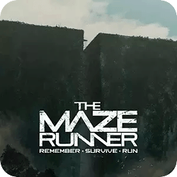 Could I be a Maze Runner...