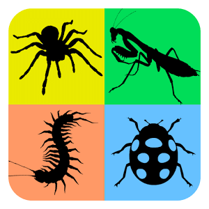 Insects Life Cycle Free