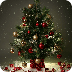 Beautiful Christmas Tree HD Live Wallpapers