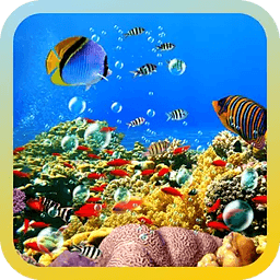 Underwater World Gallery...