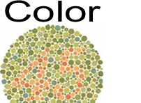 The Quickest Color Blindness Test