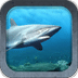 Ocean Life HD