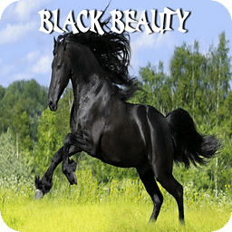 Black Beauty