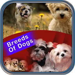 Importance Of Breeds Of ...