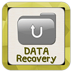 Data Recovery Guide