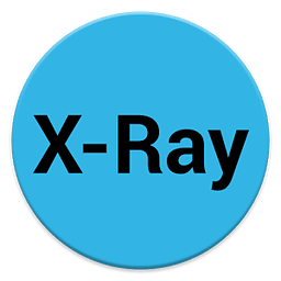 X-Ray Display