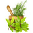 Medicinal Herb And Plants