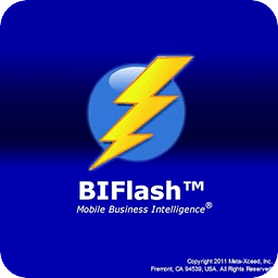 BI Flash