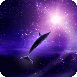 Dolphin Galaxy Free