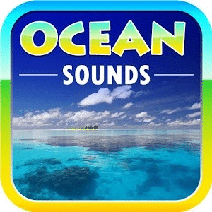 大自然的声音：海洋