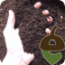 Citizen Scientist Soil