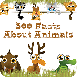 300 Facts About Animals