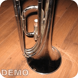 MB Horn demo for Caustic