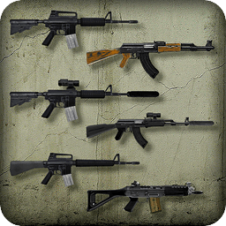 Assault Rifle Gun Gallery